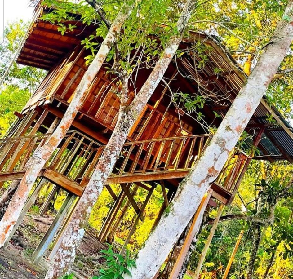 Hotel Karupa Amazonas Leticia Exterior photo